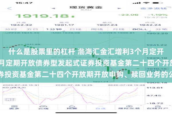 什么是股票里的杠杆 渤海汇金汇增利3个月定开: 渤海汇金汇增