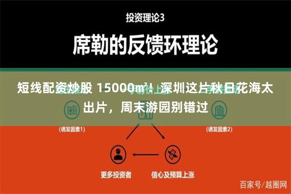 短线配资炒股 15000㎡！深圳这片秋日花海太出片，周末游园