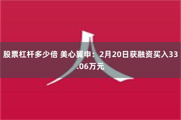 股票杠杆多少倍 美心翼申：2月20日获融资买入33.06万元